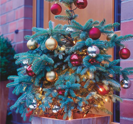 Traumhafte Last-Minute-Geschenke