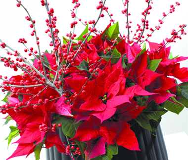 Tolle Sträuße und Pflanzideen zum Fest