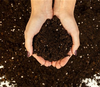 Terrasse & Balkon im Februar