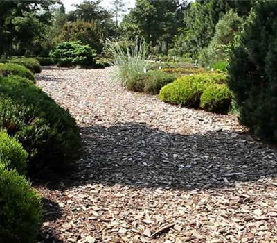 Allgemeine Gartenarbeit im Juli