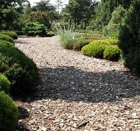 Allgemeine Gartenarbeit im Juli