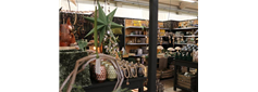 Gartencenter Selbach