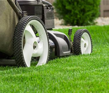 Schöner Herbstrasen