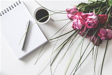 "New Style"-Valentine