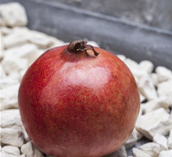 Granatapfel