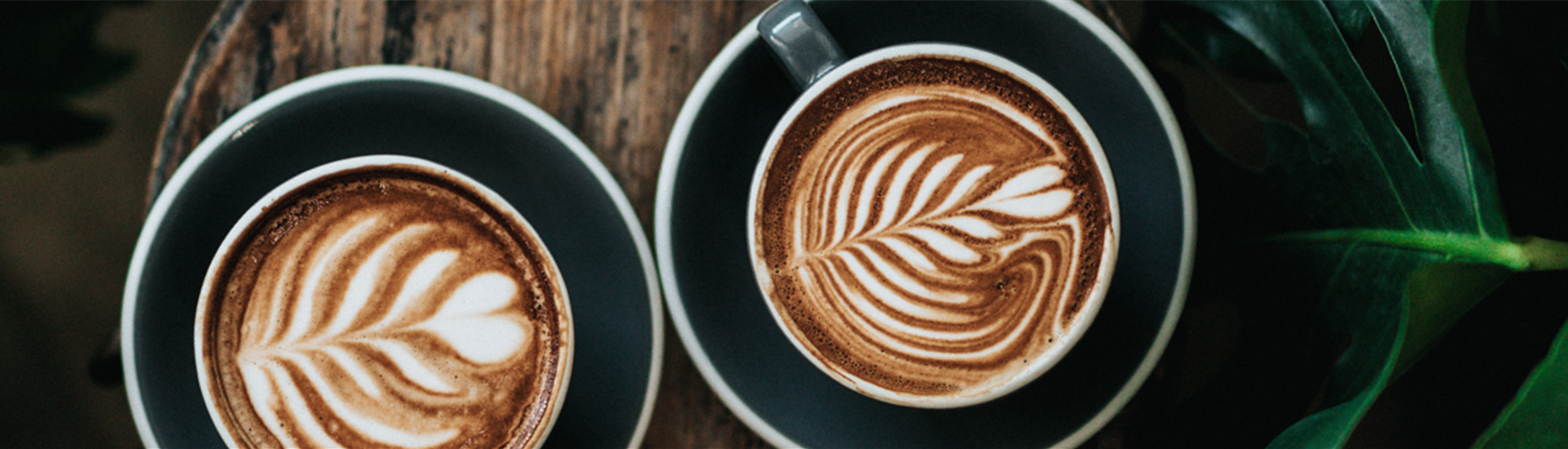 220808_Jumbotron_Café_1920x400_neutral.png 220808_Jumbotron_Café_1920x400_neutral.png