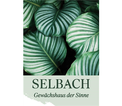 Gutscheinkarte
