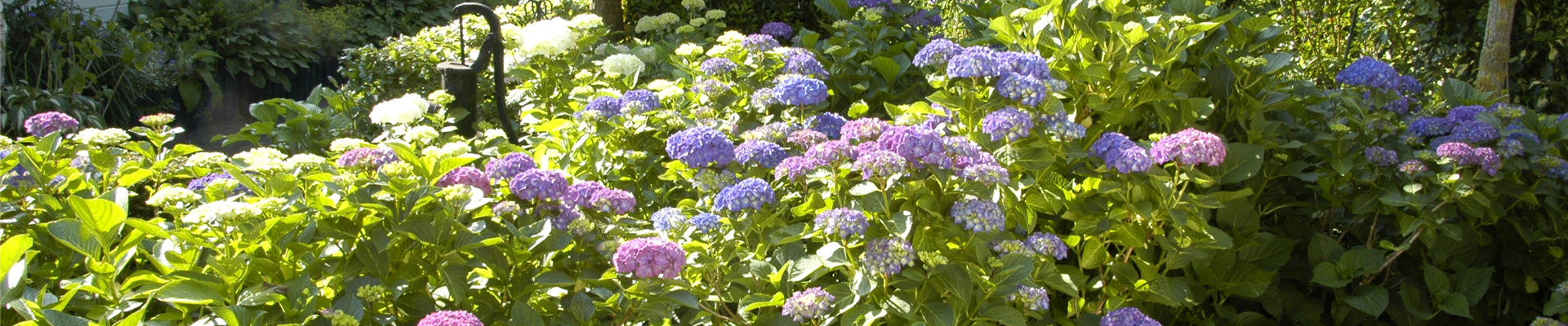 GS619920.jpg GS619920.jpg