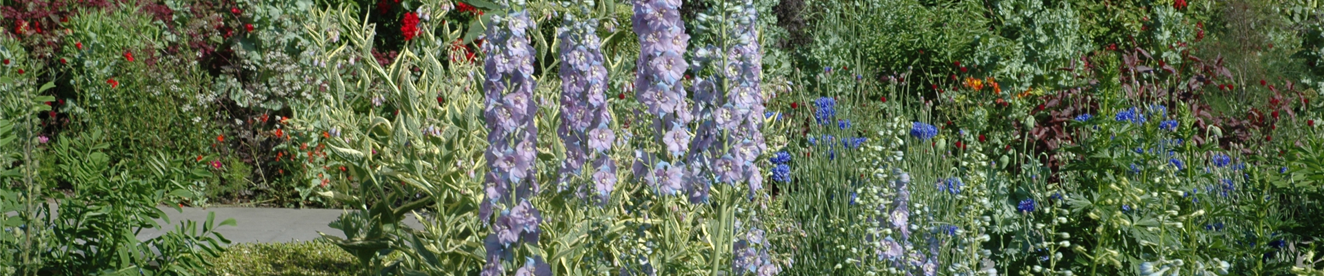 GS621736.jpg GS621736.jpg