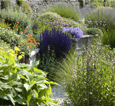 Das Staudenbeet – ein Blütenmeer im Garten Das Staudenbeet – ein Blütenmeer im Garten