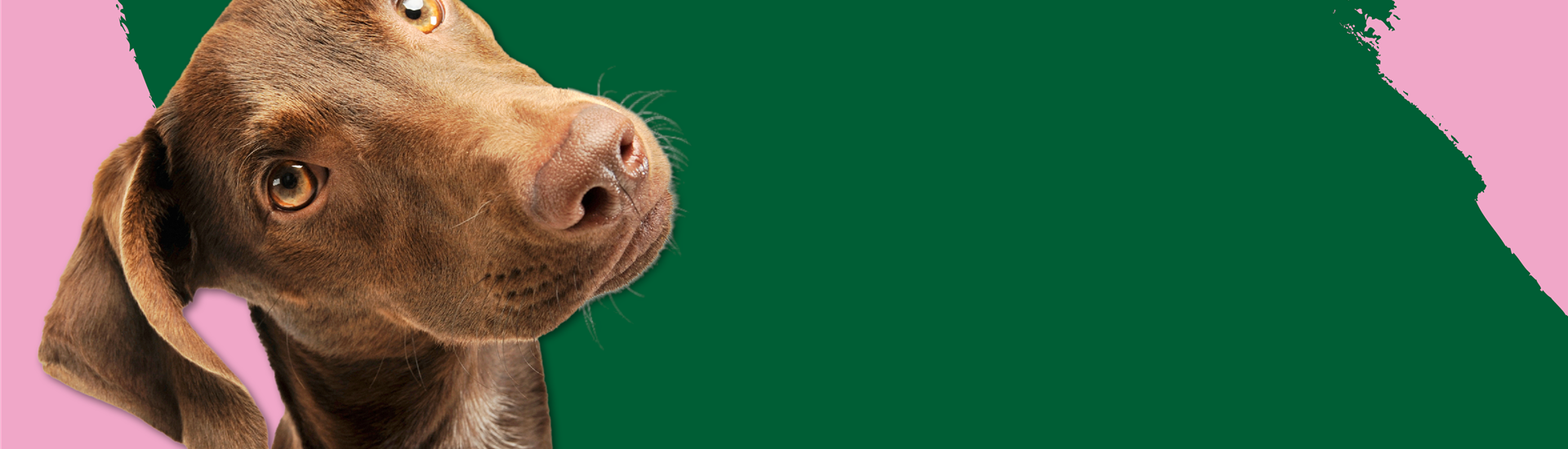 250618_Jumbotron_will-haben_Zoo936x1903px.png 250618_Jumbotron_will-haben_Zoo936x1903px.png