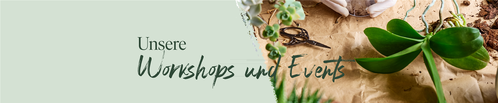 251202_Website_Titel_Workshops_1920x400.png