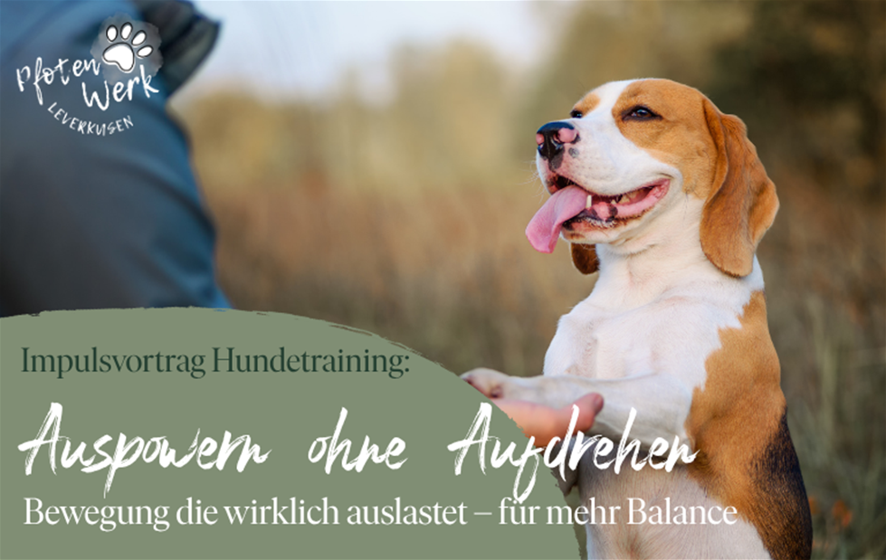 260422_Website Hundetraining.png