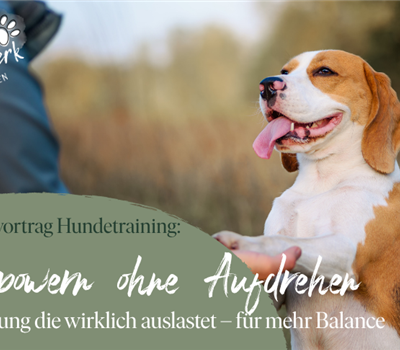 Impulsvortrag Hundetraining: Auspowern ohne Aufdrehen