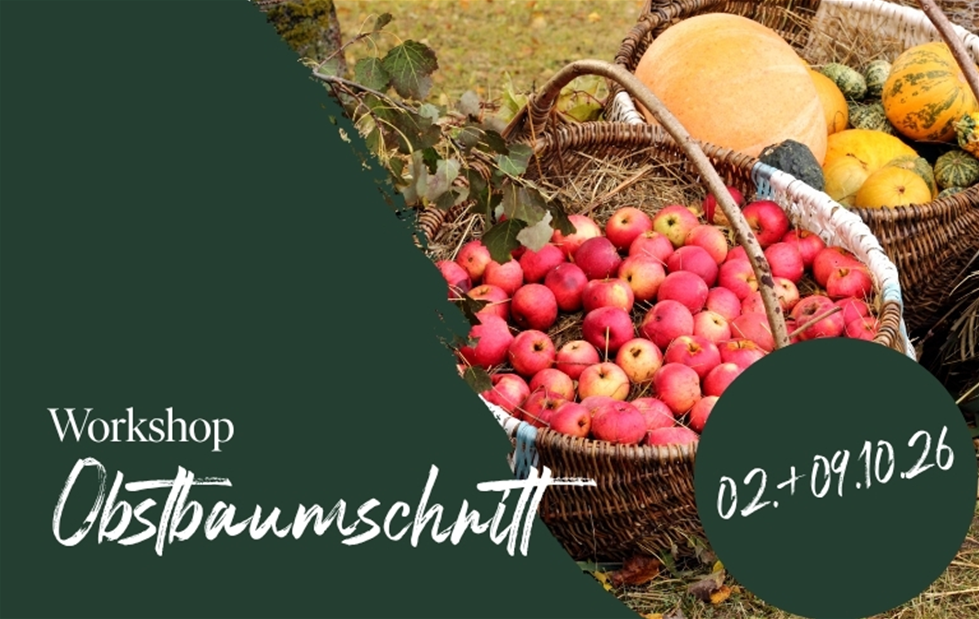 20260703_Obstbaumschnitt.jpg