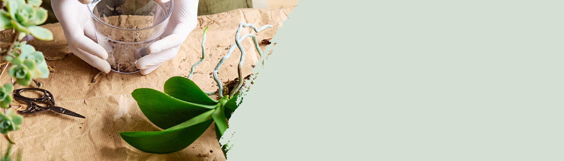 251202_Website_Titel_workshops-events_1920x400.png