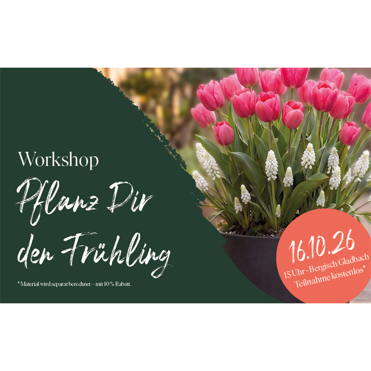 Workshop: Pflanz Dir den Frühling
