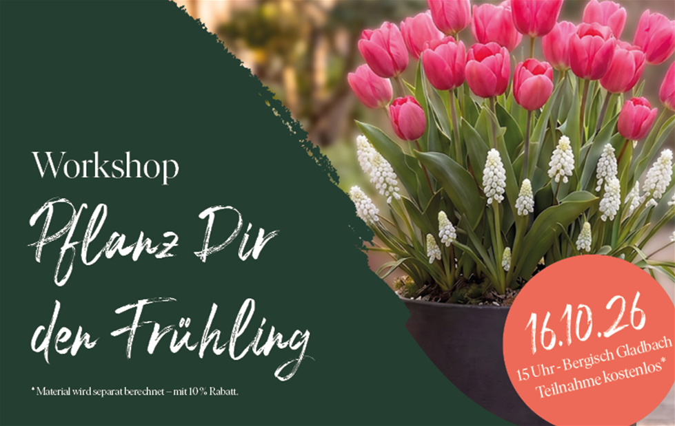 260929_Workshops_Frühling.png