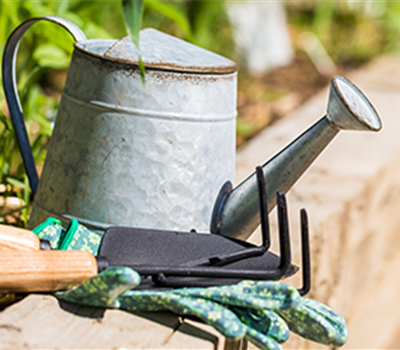 Terrasse & Balkon im Juni