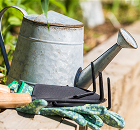 Terrasse & Balkon im Juni