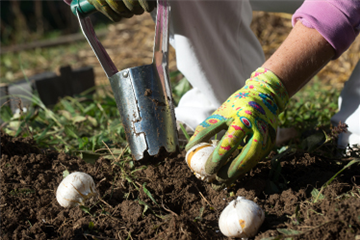 Ziergarten im Oktober