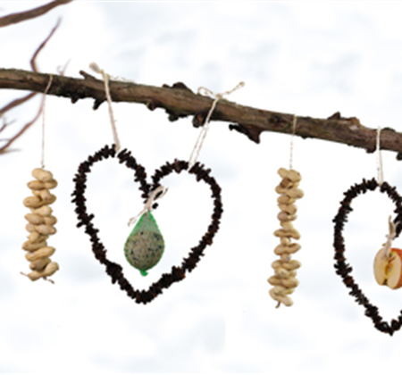 Ein (Futter)Herz für Vögel