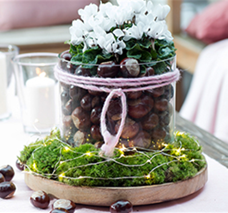 Herbstdeko mit Kastanien