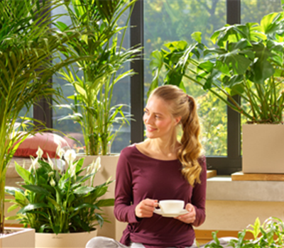 Luftverbesserer: Einfach tief durchatmen!