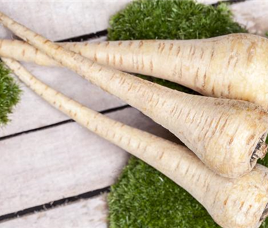 Gemüse-, Kräuter- und Obstgarten im November